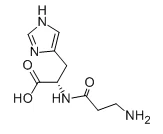 L-Karnosin CAS NO.:305-84-0