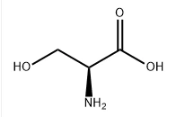 L-Serin CAS NO.:56-45-1